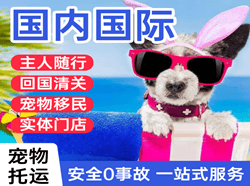 吴圩航空邮寄国际宠物托运 【国